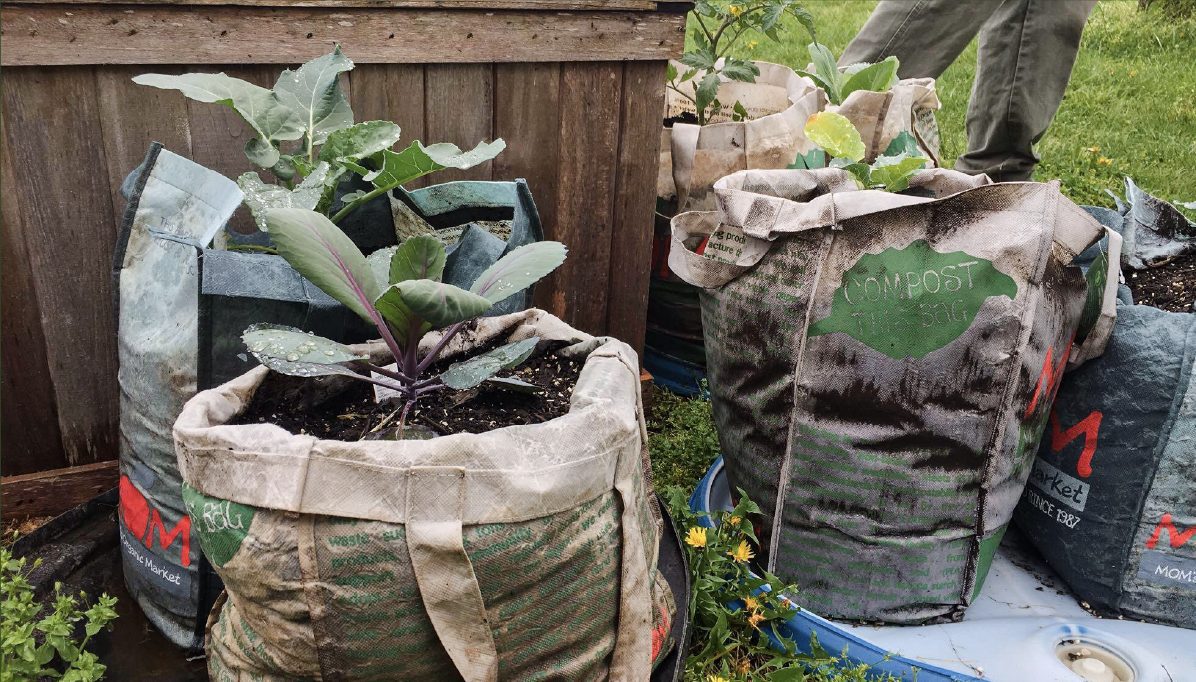 Composting bags